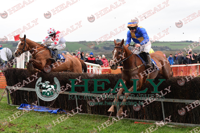 HEALY RACING tweet media