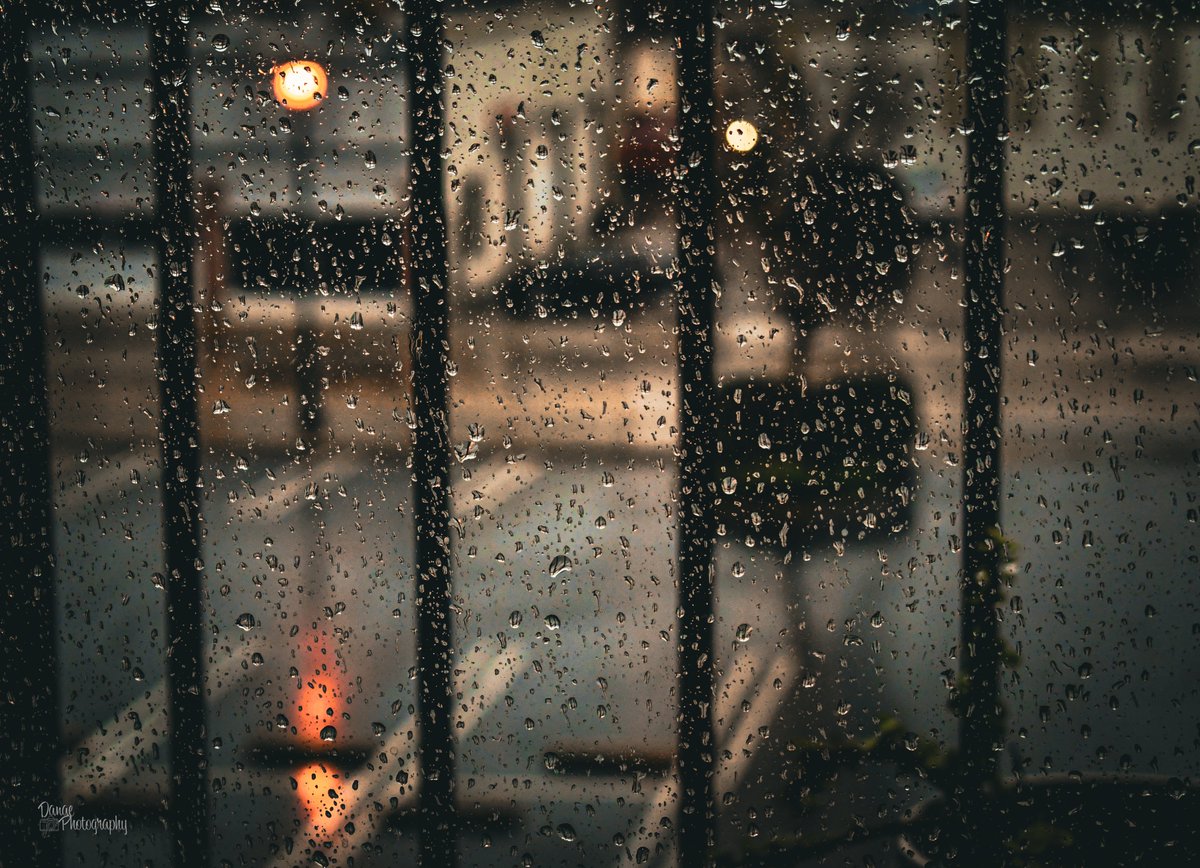 Rainy Day Reflections. 

"The way I see it, if you want the rainbow, you gotta put up with the rain." - Dolly Parton.