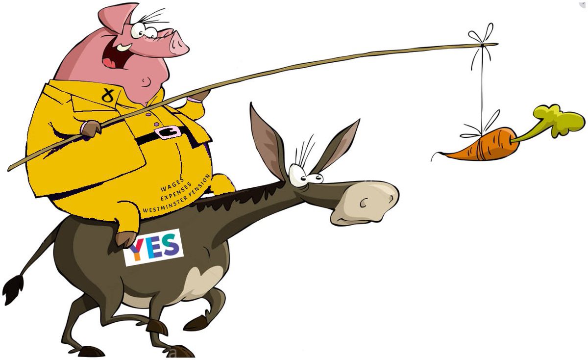 pawmarks1's tweet photo. @STVNews Must be an election coming up https://t.co/Ptm6WF5Xrk
