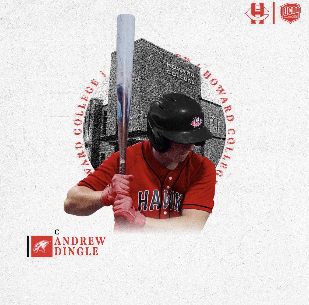 Andrew Dingle tweet media