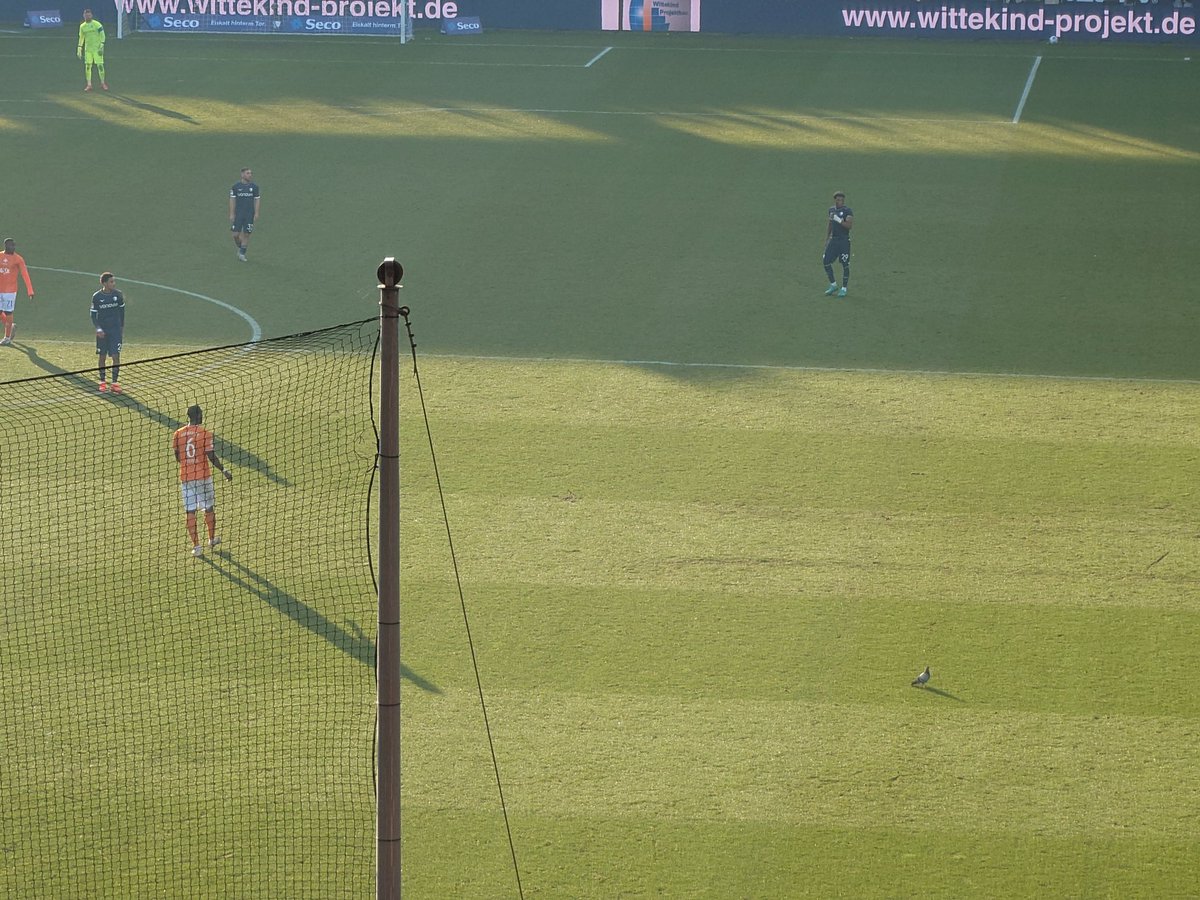 久々に見たブンデスリーガは楽しかった。
やっぱりゴール裏で見るのは最高だな。
しかし、試合終盤に頑なにポジションを譲ろうとしなかった鳩に目が釘付けで後半の試合が一部頭に入って来なかった。
目の前を選手達がプレーしていても動かないから一瞬目の錯覚かと思った。