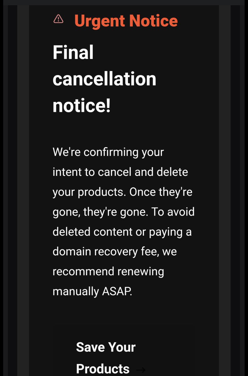 Silvi Rouskin tweet media