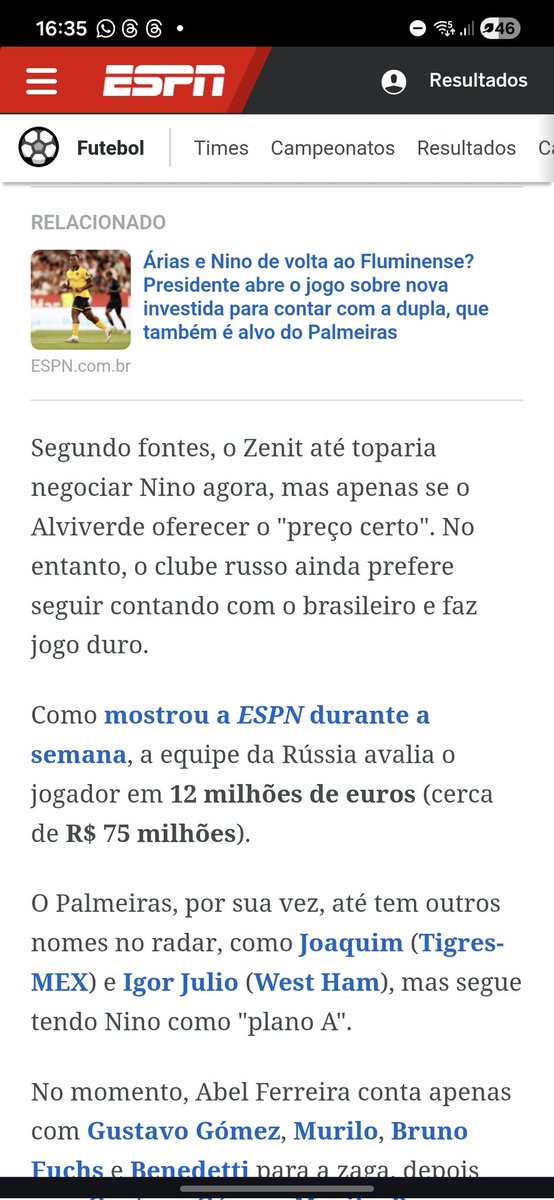 Família Alviverde #ForaAbelFerreira tweet media