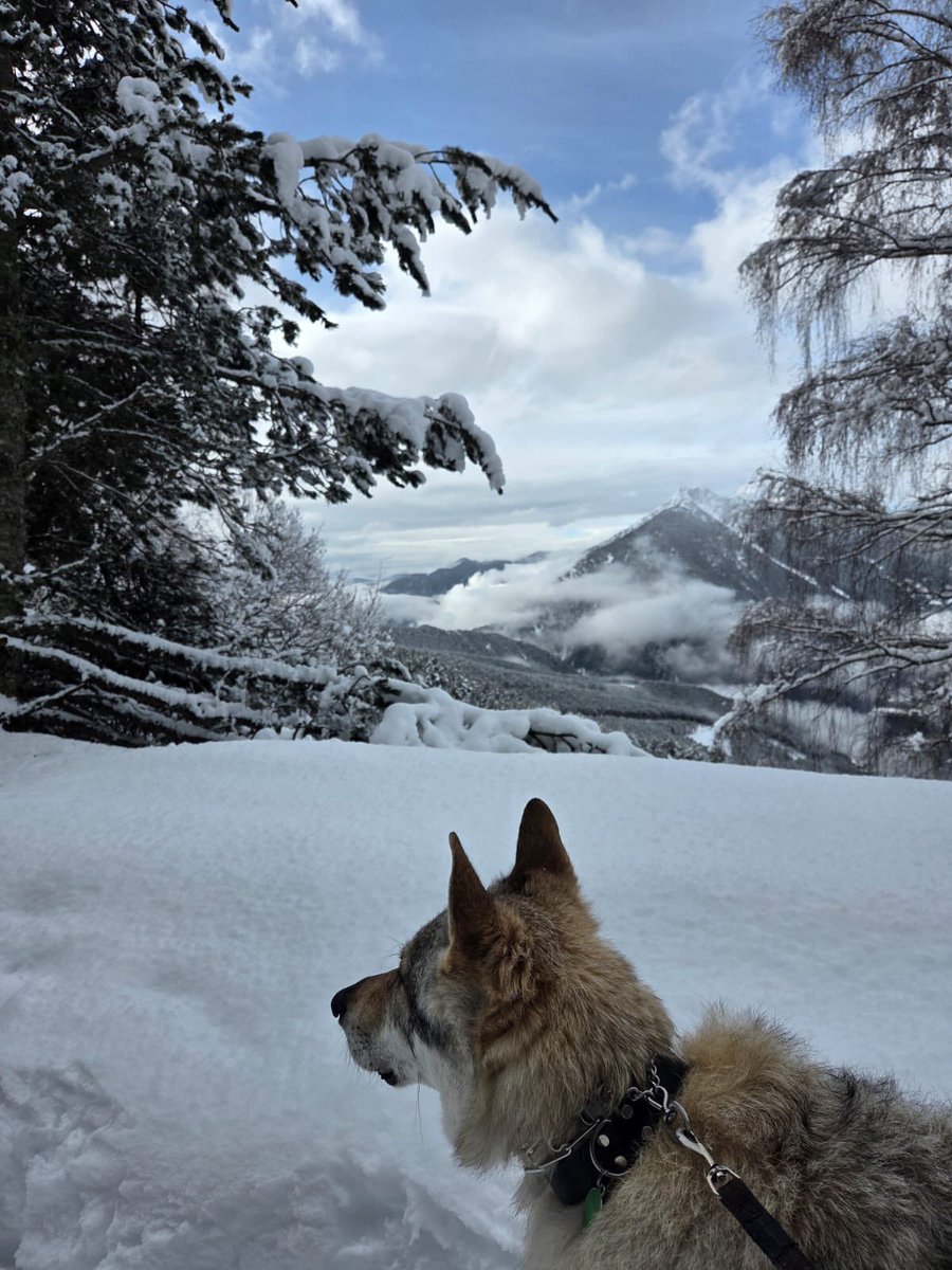 Simon Crafar tweet media