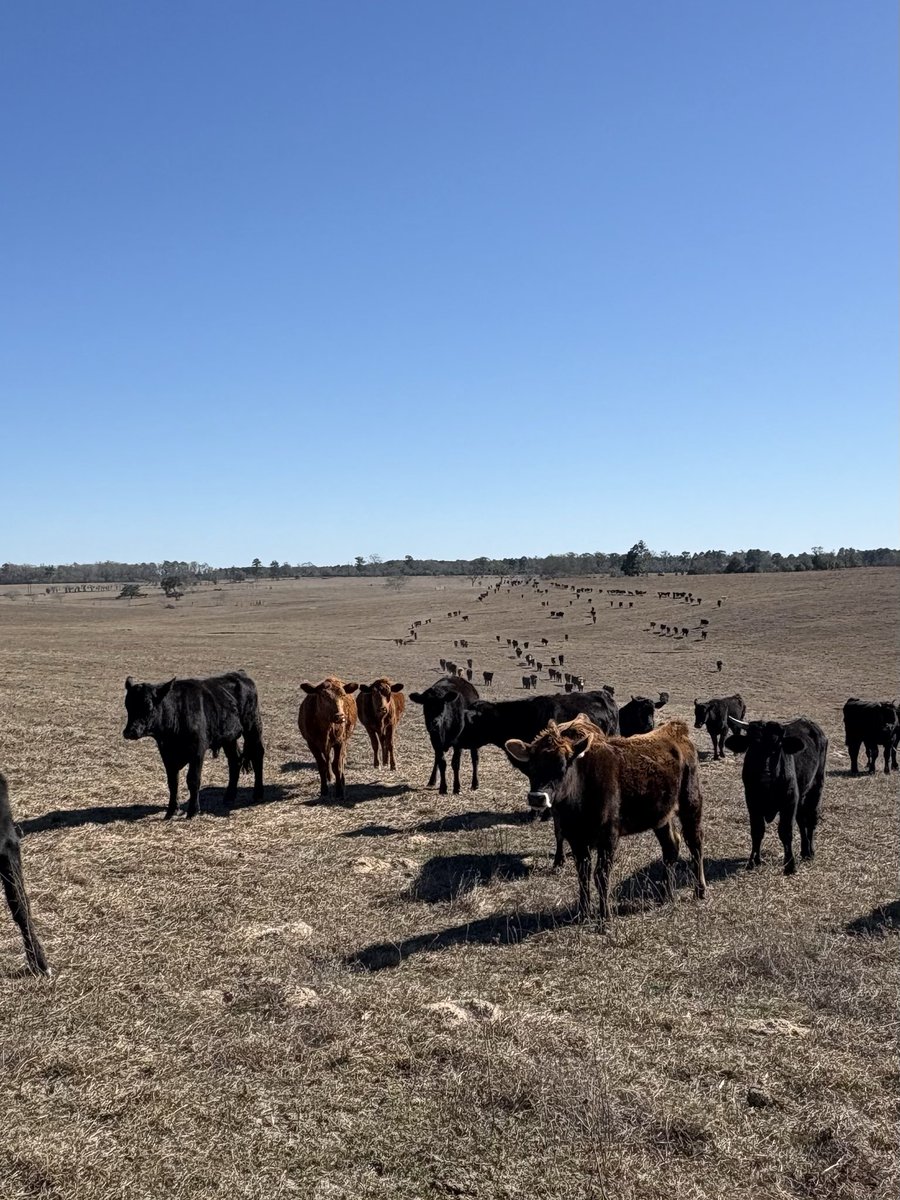 Word got out… cube trucks fixed 🤠