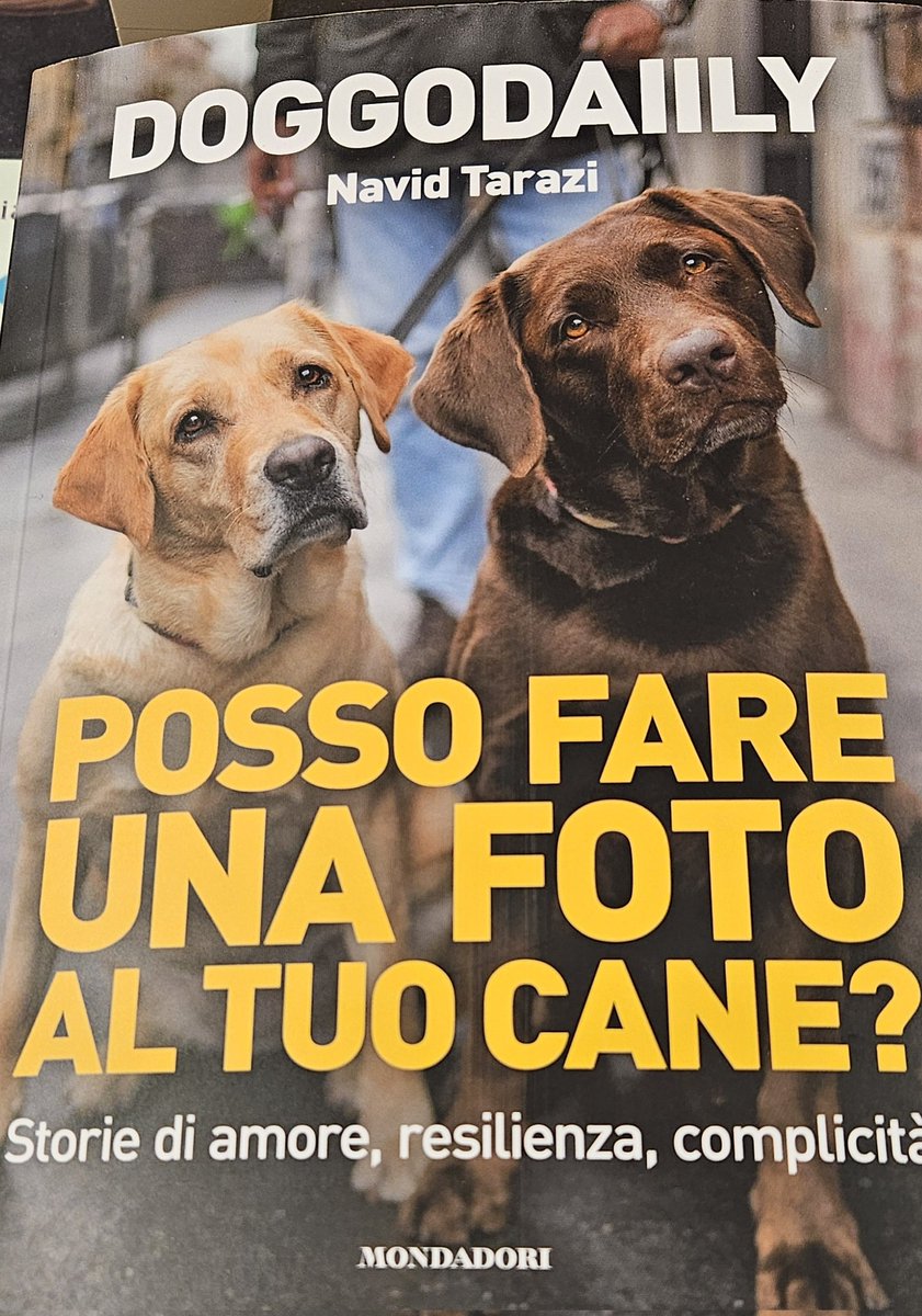 Una domanda che spesso faranno a <a href="/_vedocose/">Rossella ⬛️</a>...