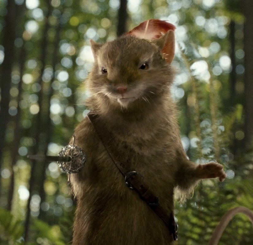 tyler ☠︎︎ tweet media