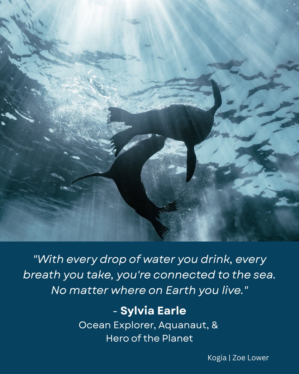 Benioff Ocean Science Laboratory tweet media