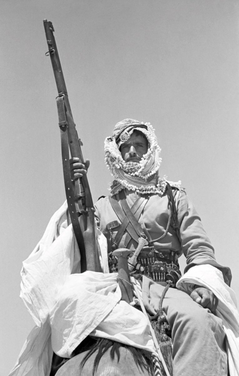 خديجة الدعجـة tweet media