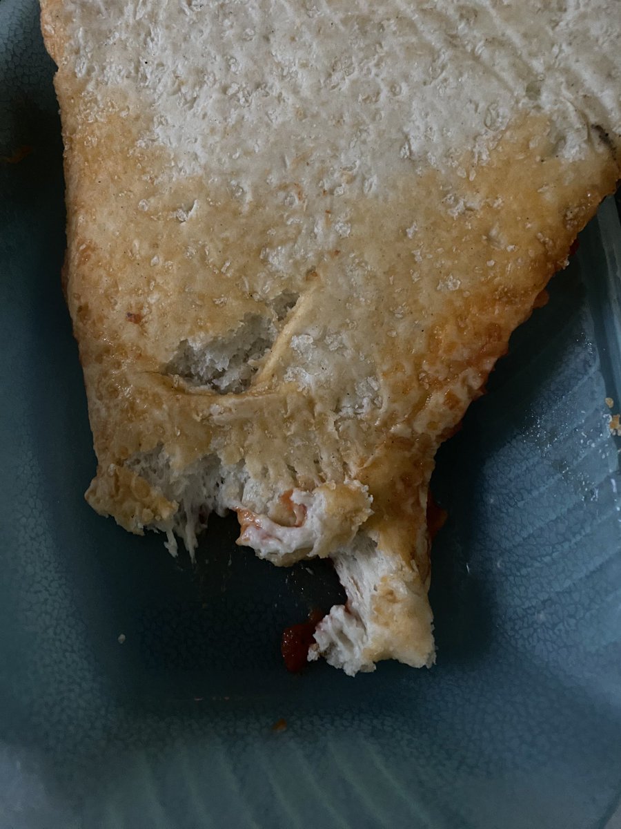 bungorexic's tweet photo. Happy birthday to me I just got served half raw pizza and accidentally ate a bit https://t.co/bm37hUWfic