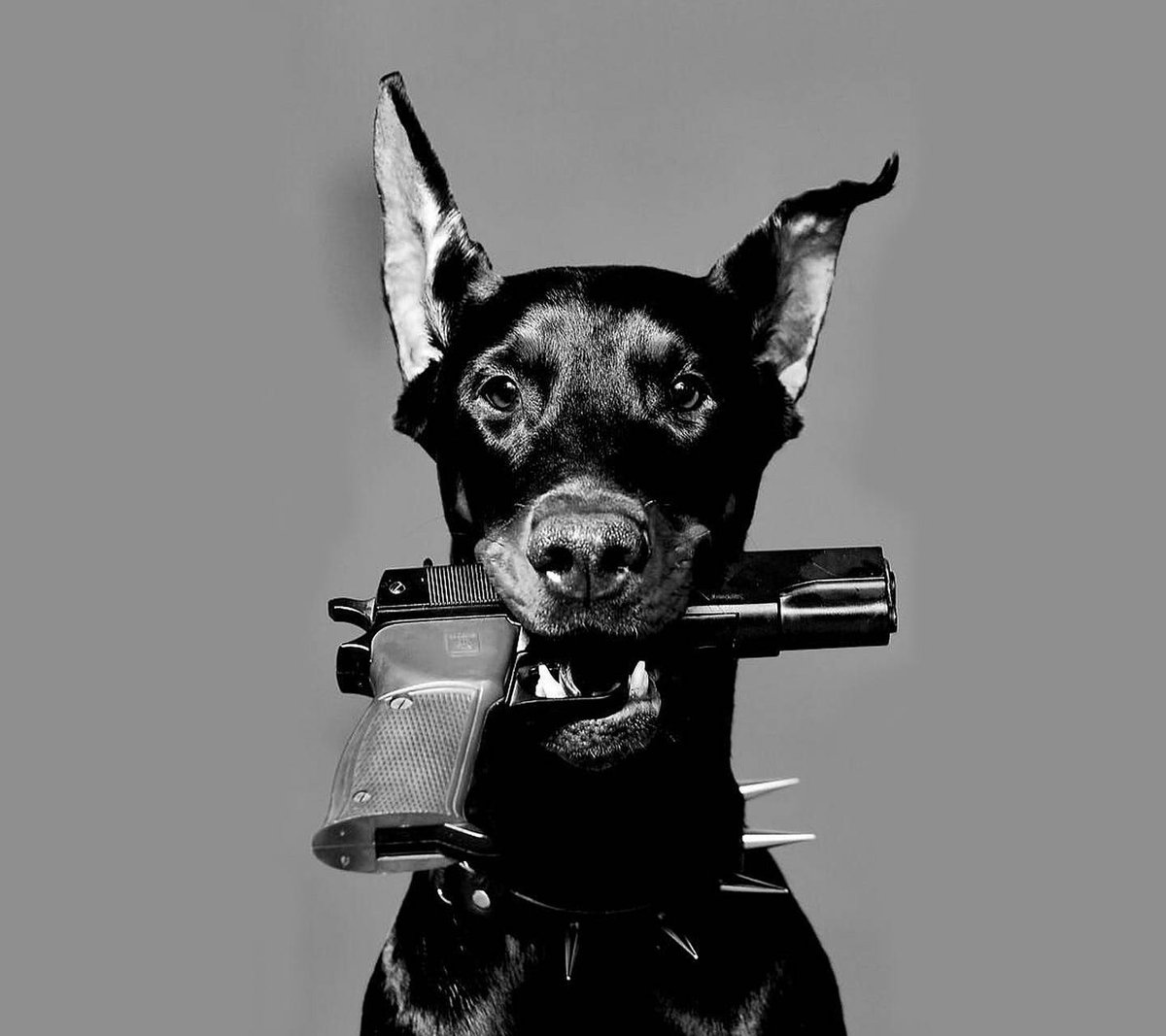 justpxcs's tweet image. 