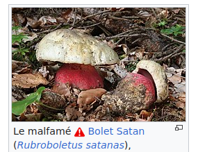 bolet satan