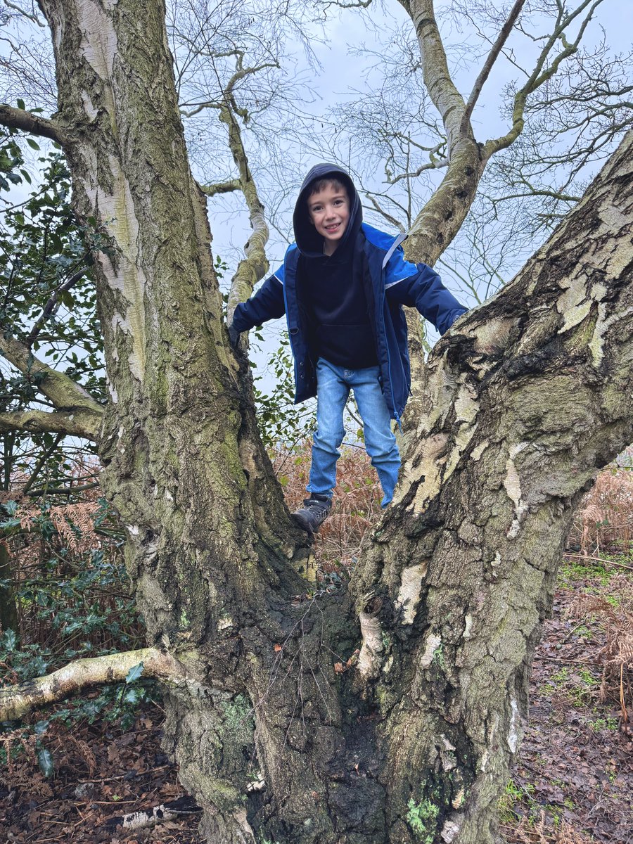 Mrs Lloyd tweet media