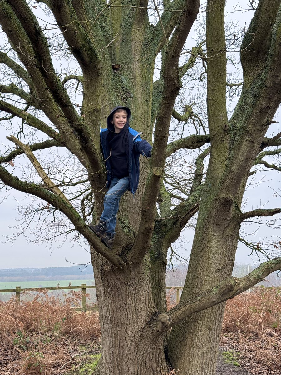 Mrs Lloyd tweet media