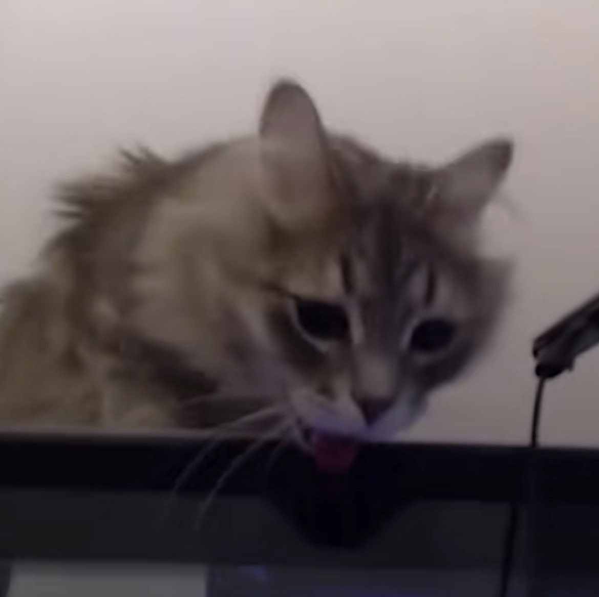 𝕸𝖆𝖗𝖞𝖘𝖎𝖆 tweet media