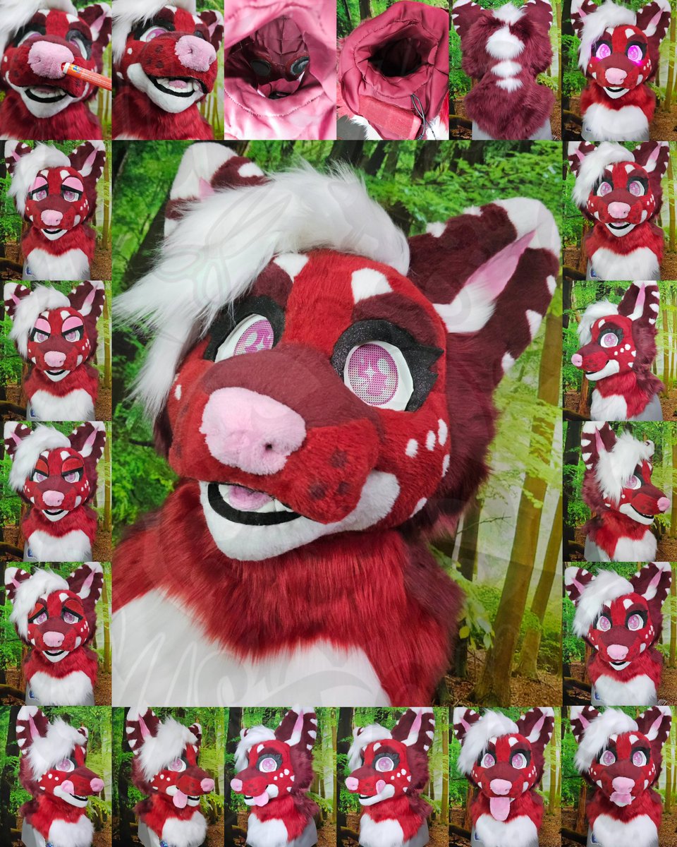 Rage & Roar tweet media