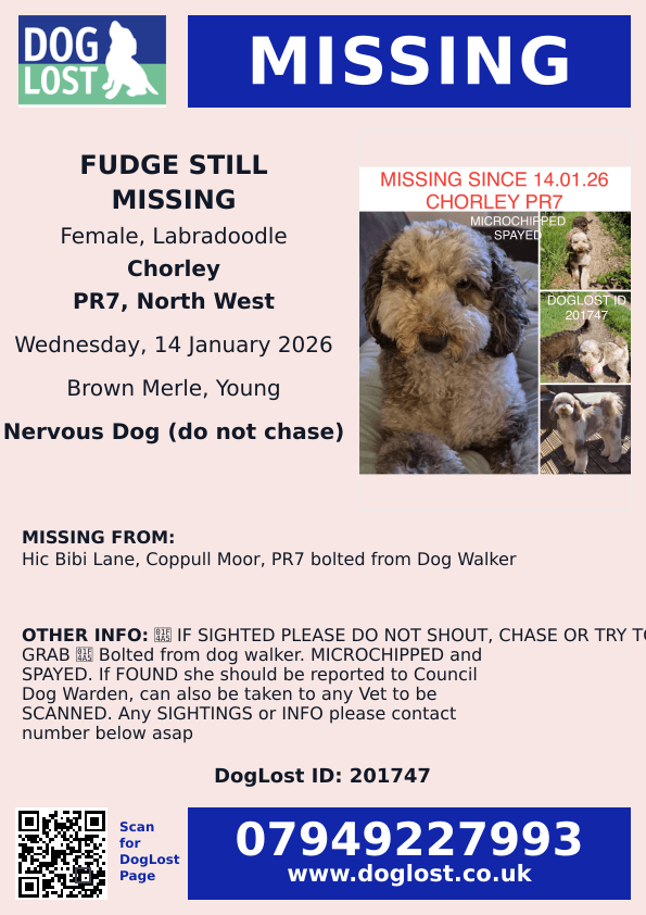 Missing Pets GB tweet media