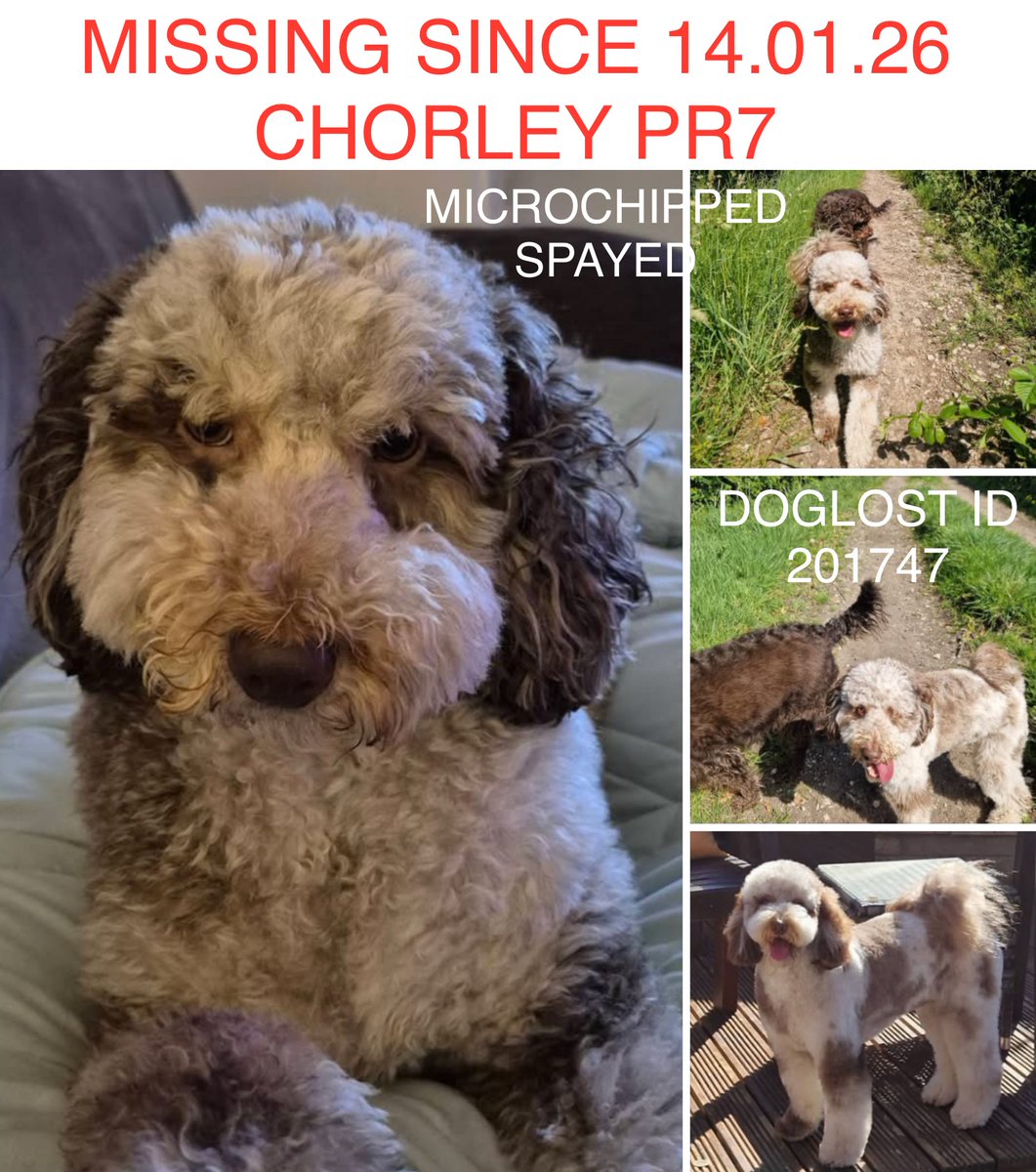 Missing Pets GB tweet media