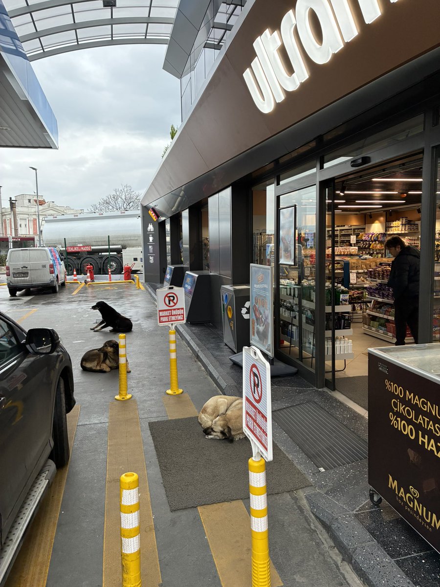 Frederick Winslow Taylor tweet media