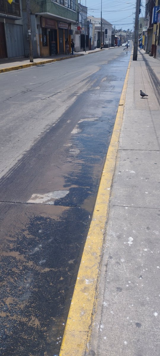 LoreVGM's tweet photo. Por favor atender. En Coquimbo aguas servidas escurren por calles céntricas @aguasdelvalle @municoquimbo @Radio_Riquelme @SISS_CHILE https://t.co/pWQc8OHVIY