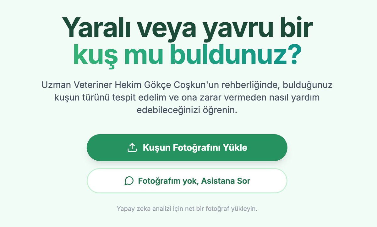 Kuş Buldum! Artık 7/24 Anında Yardım Alabilirsiniz 🚑
kusbuldum.gokcecoskun.com
Yıllardır "Kuş buldum, ne yapmalıyım?" sorularınıza yetişmeye çalışıyorum ancak yaban hayatı ilk yardımında saniyeler çok önemli. Ben mesajı görene kadar geçen sürede yanlış müdahale yapılmasını önlemek