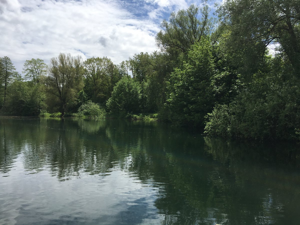 form_ing's tweet image. 