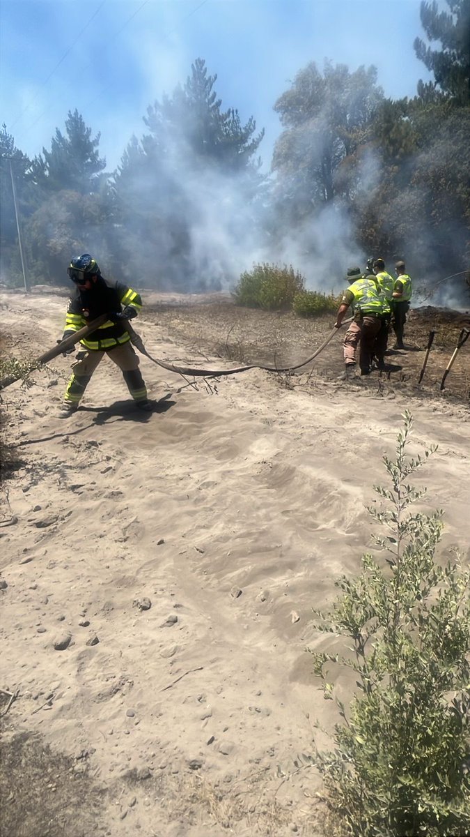 Carabdechile's tweet image. 🚨 #Urgente | Región de Ñuble: Junto a nuestras distintas unidades territoriales y especializadas, nos mantenemos desplegados activamente en labores de extinción en los diversos puntos afectados por incendios forestales, trabajando de manera coordinada con @BomberosdeChile y los
