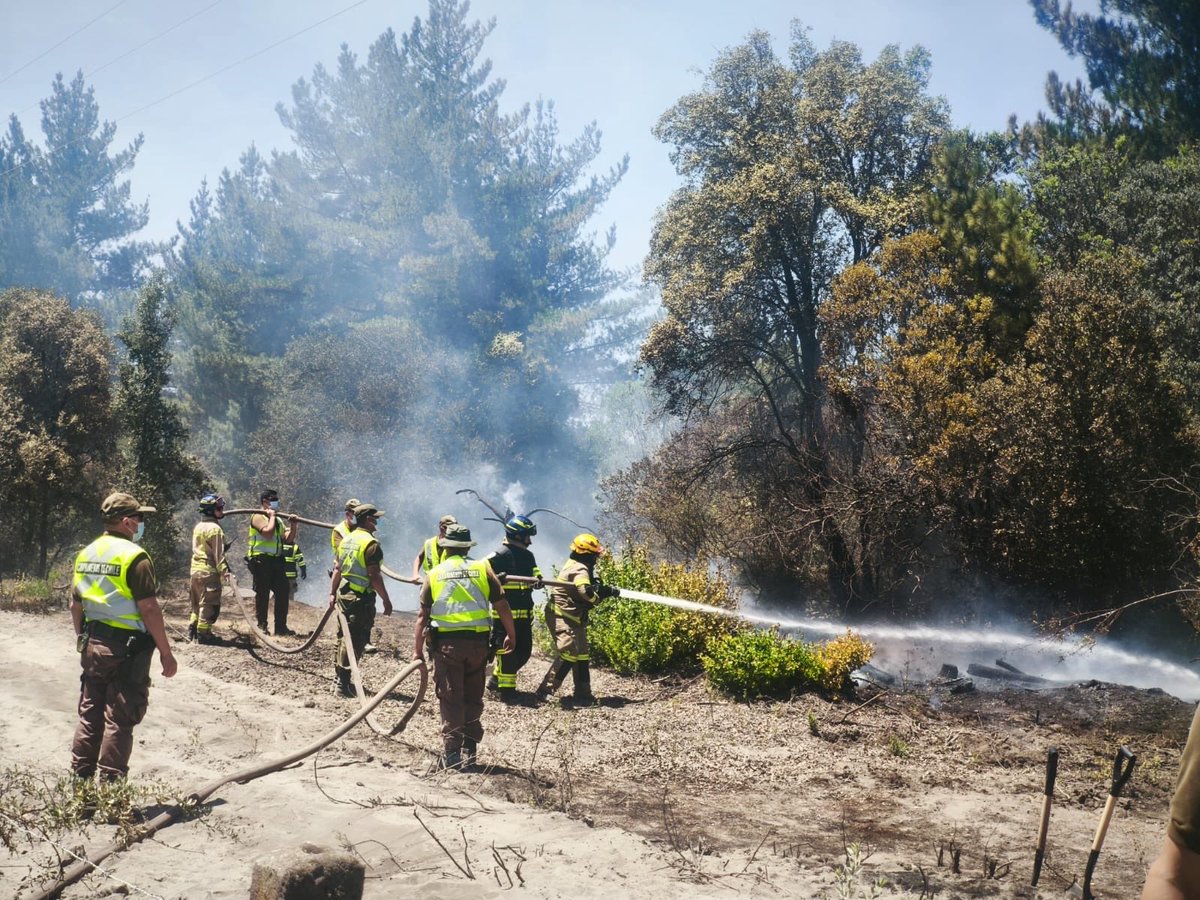 Carabdechile's tweet image. 🚨 #Urgente | Región de Ñuble: Junto a nuestras distintas unidades territoriales y especializadas, nos mantenemos desplegados activamente en labores de extinción en los diversos puntos afectados por incendios forestales, trabajando de manera coordinada con @BomberosdeChile y los