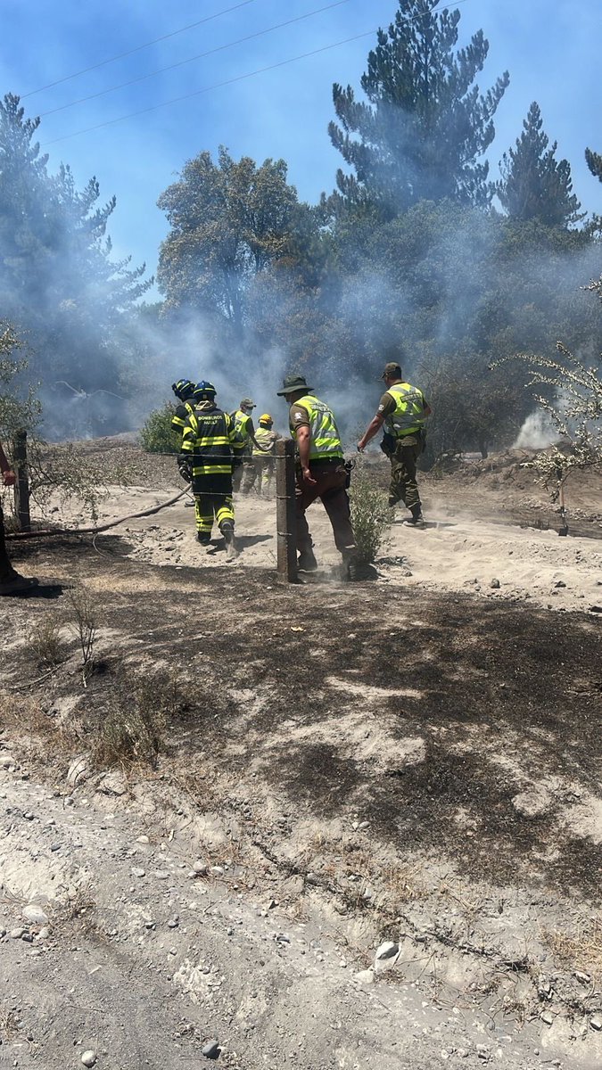 Carabdechile's tweet image. 🚨 #Urgente | Región de Ñuble: Junto a nuestras distintas unidades territoriales y especializadas, nos mantenemos desplegados activamente en labores de extinción en los diversos puntos afectados por incendios forestales, trabajando de manera coordinada con @BomberosdeChile y los