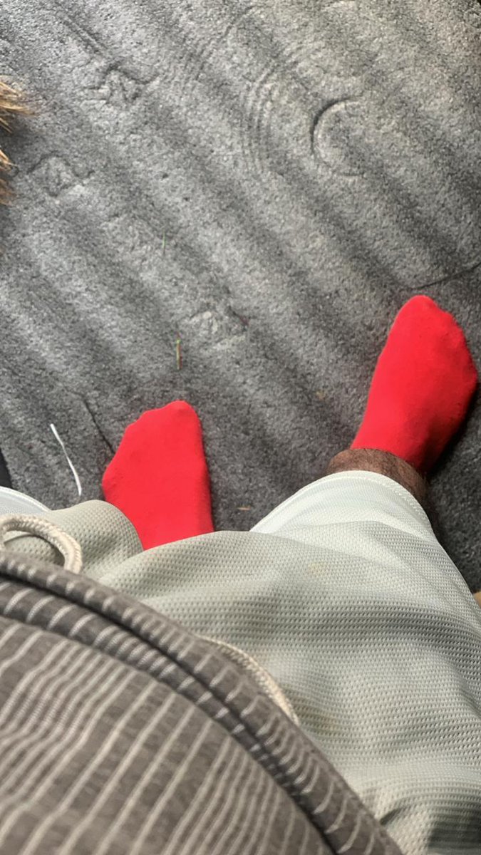 Ali🏳️🌈🇵🇸 tweet media