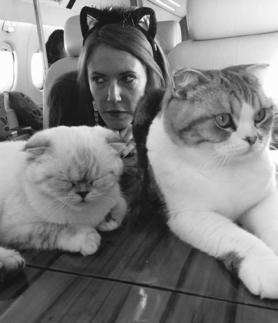 Shahad13🐍🫶 tweet media