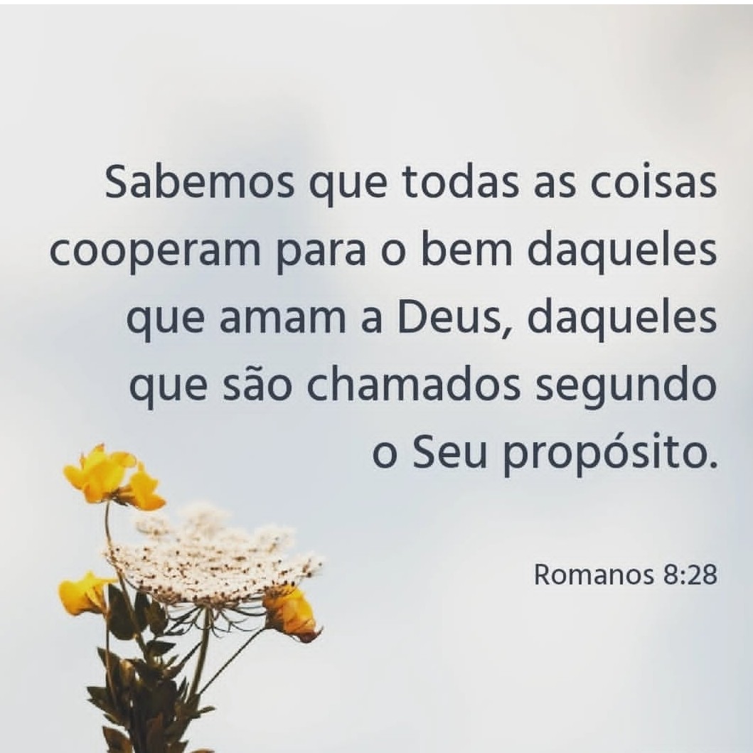 Mensageiro da Palavra tweet media