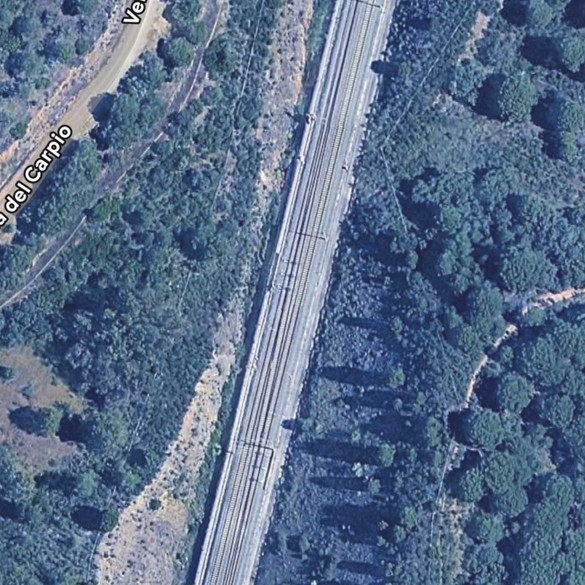 Puede ser perfectamente un fallo en este desvío, puesto que no hay ninguna zona más.

Recuerdo que la infraestructura es la más antigua de AV en España y estaba en renovación.

El frecciarossa accidentado es un tren nuevo, seguro y muy bien valorado.