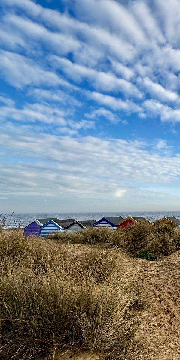 Gavin Elliott tweet media