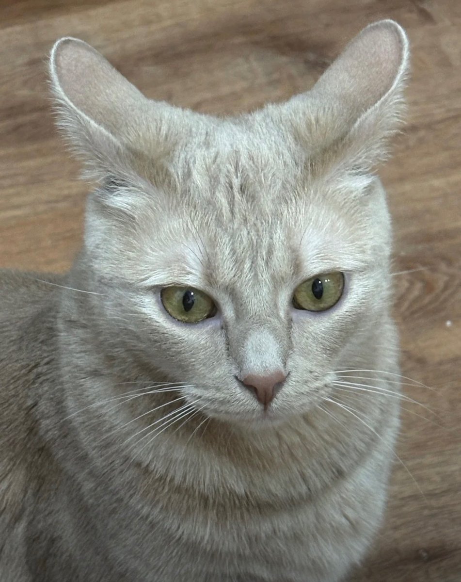 positive side of X 🌞 tweet media