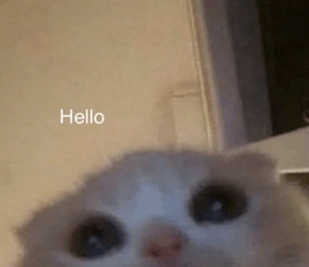 Eric Charming tweet media