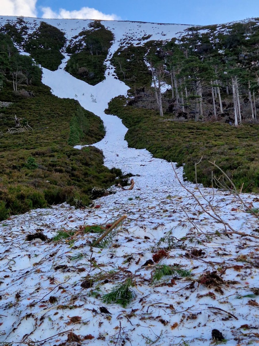 Iain Cameron tweet media