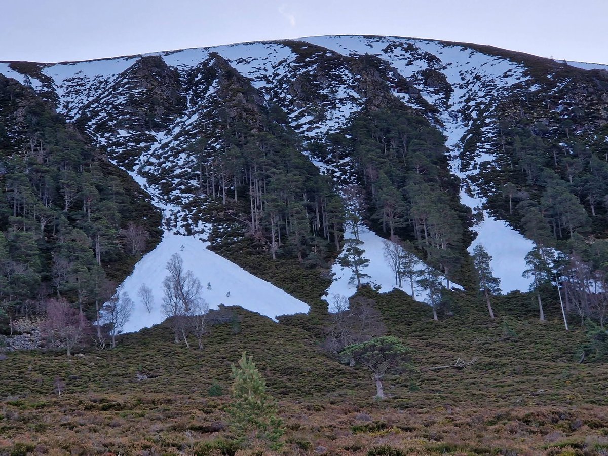 Iain Cameron tweet media