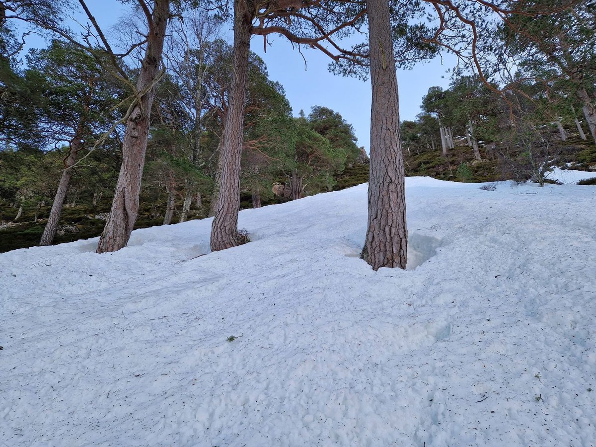 Iain Cameron tweet media