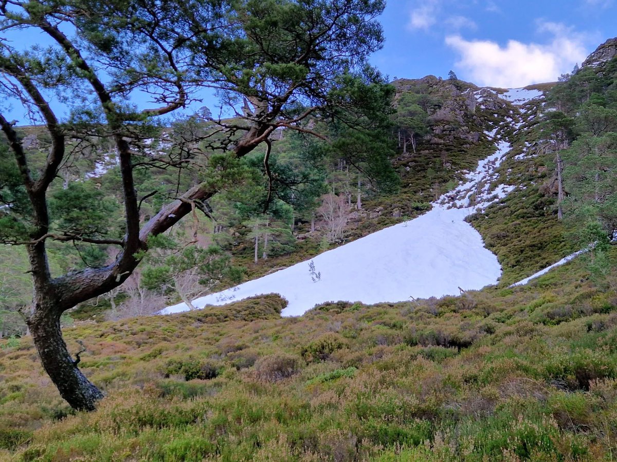 Iain Cameron tweet media