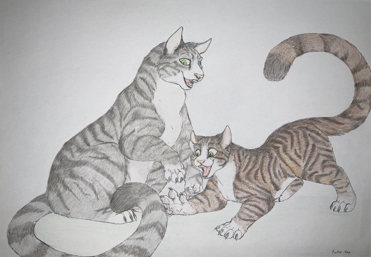purple_blep's tweet photo. 1/2 Traditional drawing for @mercrantos with his cats espresso and cheerio.

Glad that it arrived safely in the post! https://t.co/WRwZBXLGFk