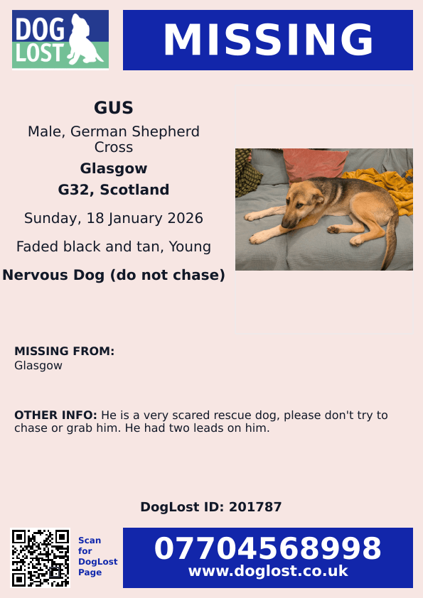 MissingPetsGB's tweet image. 🐕 Please share- GUS was lost today 18 January 2026 in #G32 area of #Glasgow His human fell &amp;amp; the two leads, a slip &amp;amp; a normal lead, slipped out of his hand, Gus was spooked, ran &amp;amp; disappeared. He is an 8 months old rescue, very scared dog. He is microchipped #stolendoghour