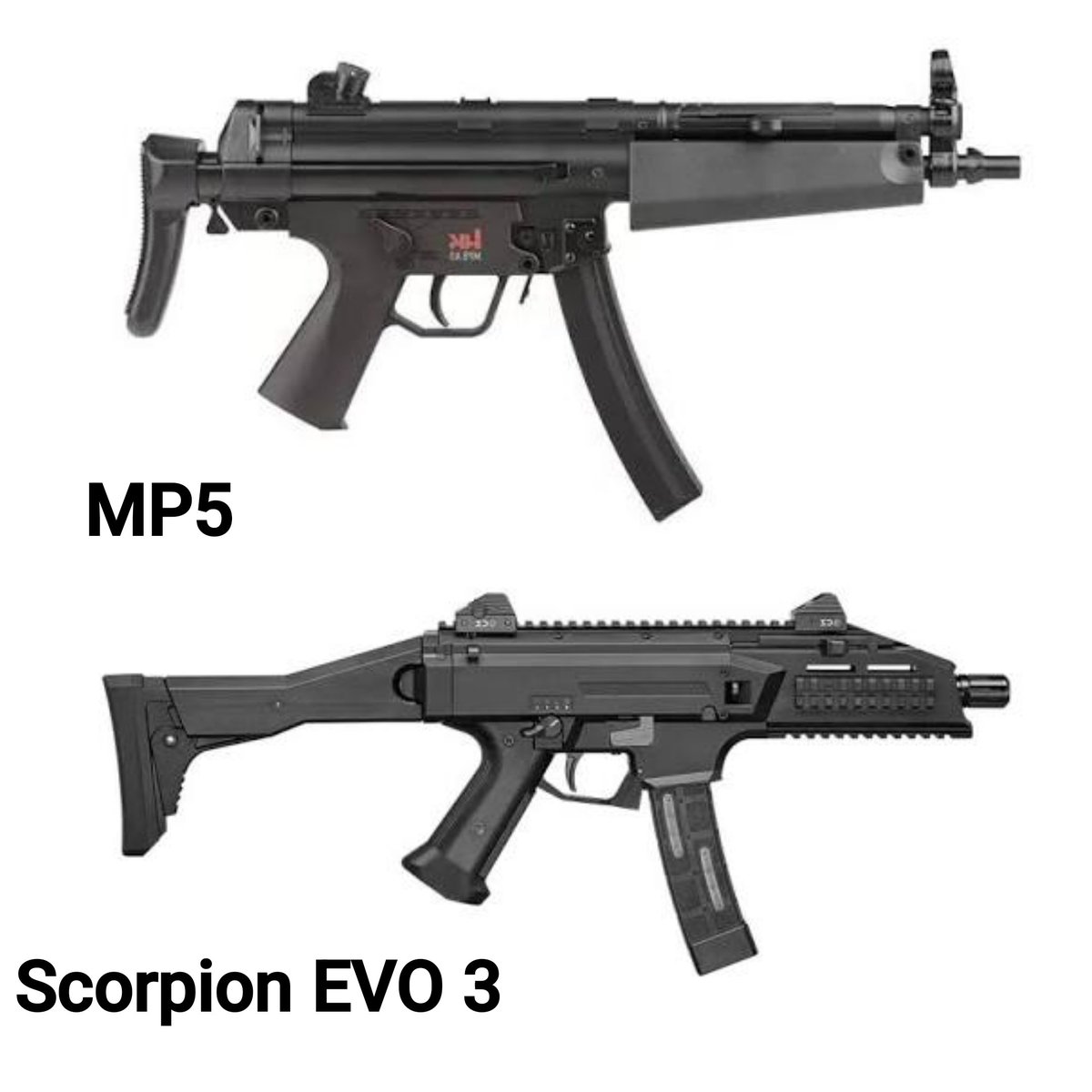 Gun Fanatics tweet media