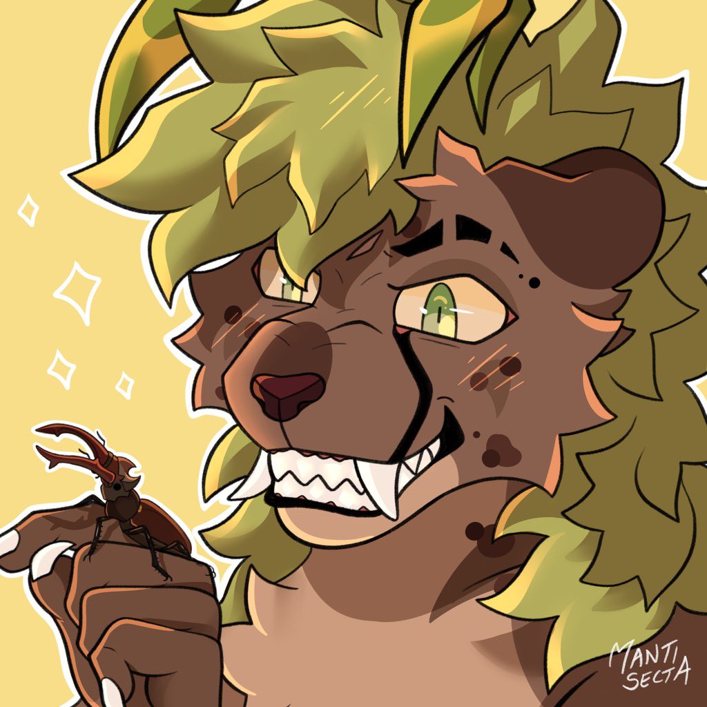 Mantis 🔜 TFS ‘26 tweet media