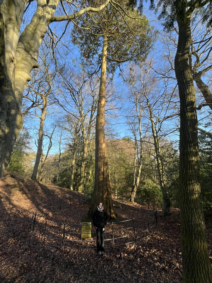 Anne-Marie Gallogly💙 tweet media