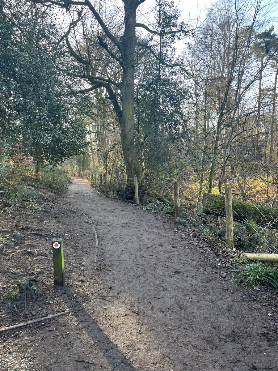 Anne-Marie Gallogly💙 tweet media