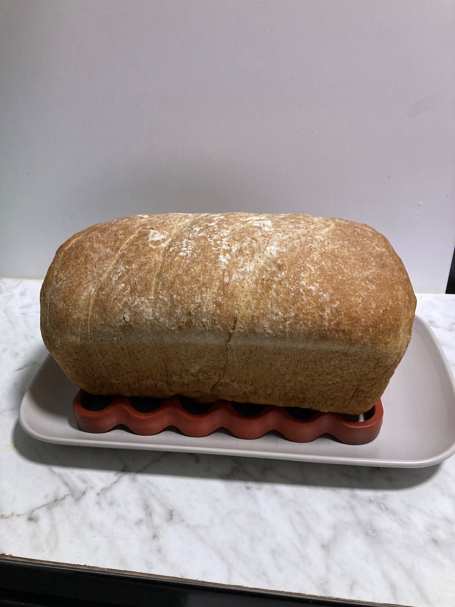 tfpjr492's tweet image. Baking with Bread Flour

#bakingbread  🍞

grillstory.net/is-bread-flour…