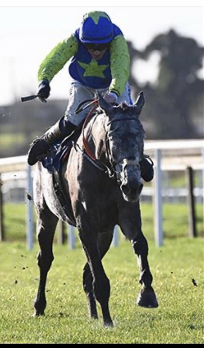 timodriscoll2's tweet image. What a great week. Thanks to Paul/james Nolan; Barry Connell and all the lads Garrett/Finny and @RogerLoughran and  I suppose @swflanagan7 ( at least he had a shave for today)
#eachtotheirown
#Iamlorenzo