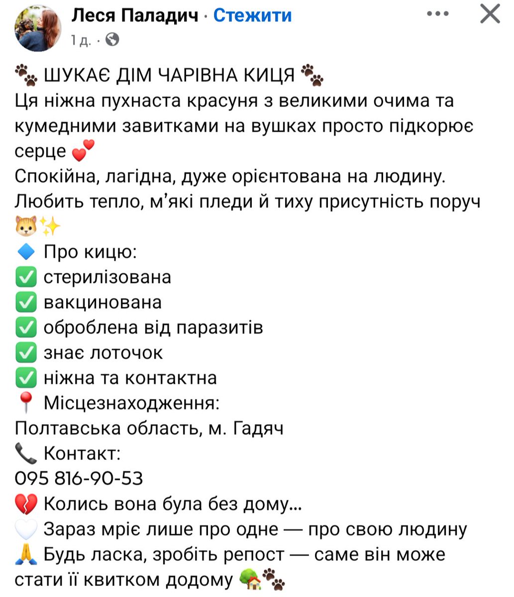 Глядіть, яке чудо-диво шукає котобатьків😍🥹