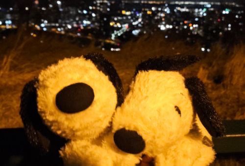 َ (@gir1genius) on Twitter photo 